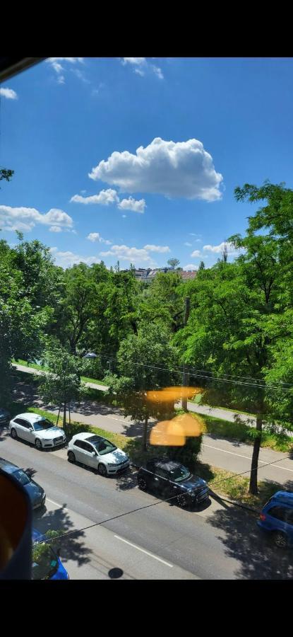Schoene Altbauwohnung Wien Zentrum Brigittenauer Laende 32 Екстер'єр фото